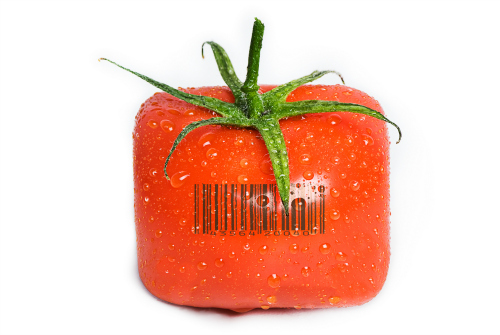 Tomate carrée